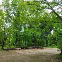 Kanagawa Prefectural Zama Park - Zama