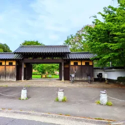 Kanagawa Prefectural Zama Park - Zama