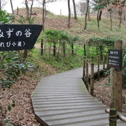 Kanagawa Prefectural Zama Park - Zama