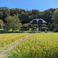 Kanagawa Prefectural Zama Park - Zama