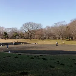 Sagamihara Asamizo Park - Zama