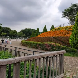 Sagamihara Asamizo Park - Zama