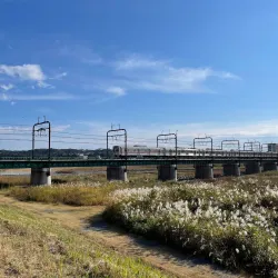 Tama River Riverside Walk - Zama