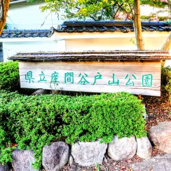 Zama City Central Park - Zama