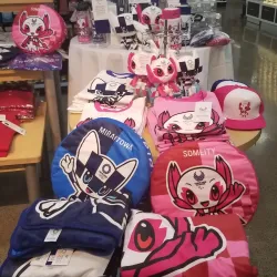 Zama Shopping Street - Zama