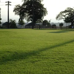 Zama Sports Park - Zama