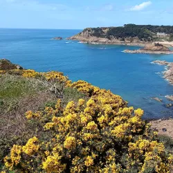 Cycle and Walking Trails - Grouville