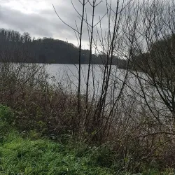 Grouville Common - Grouville