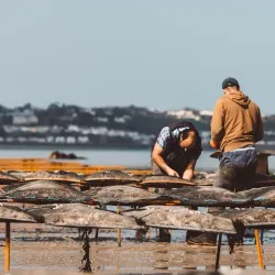Grouville Oyster Beds - Grouville