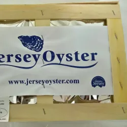 Grouville Oyster Beds - Grouville