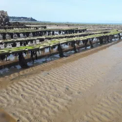 Grouville Oyster Beds - Grouville