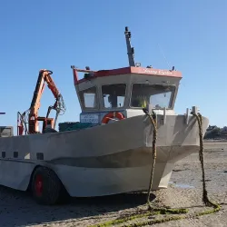 Grouville Oyster Beds - Grouville