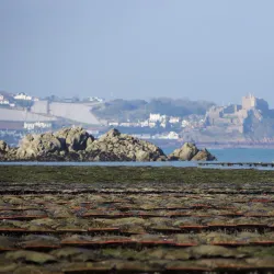 Grouville Oyster Beds - Grouville