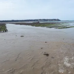 Grouville Oyster Beds - Grouville