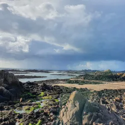 La Rocque Harbour - Grouville