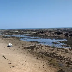 La Rocque Harbour - Grouville