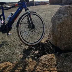 La Rocque Harbour - Grouville