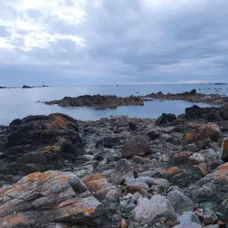 La Motte (Green Island) - Saint Helier