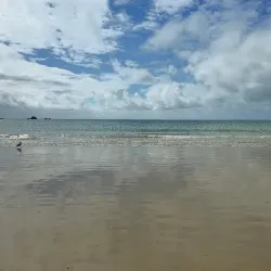 St Brelade's Bay Marine Nature Reserve - St Brelade