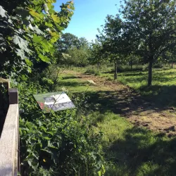 The Elms - St Brelade