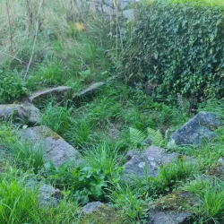 The Elms - St Brelade