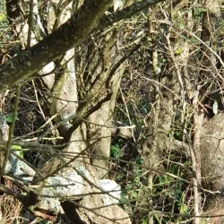 Les Platons - St Lawrence