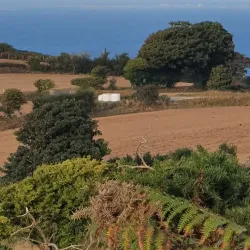 Les Platons - St Lawrence