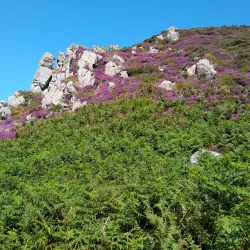 Les Platons - St Lawrence