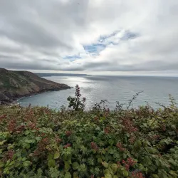 Sorel Point - St Lawrence