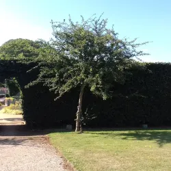 St Lawrence Church - St Lawrence