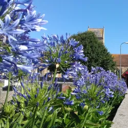 St Lawrence Church - St Lawrence