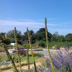 St Lawrence Church - St Lawrence