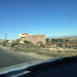 Ajlun Olive Oil Press - 'ajlun