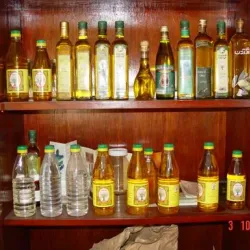 Ajlun Olive Oil Press - 'ajlun