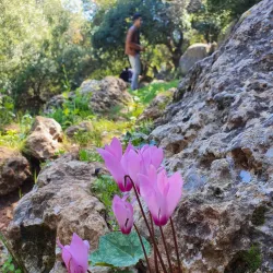 Kufranjah Village - 'ajlun