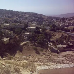 Al-Fuhays Mosque - Al-fuhays