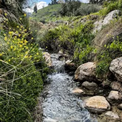 Al-Fuhays Mosque - Al-fuhays