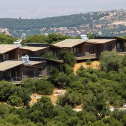 Aljoun Forest Reserve - Al-fuhays