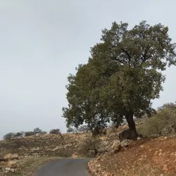 Wadi Al-Seer - Al-fuhays