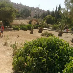 King Hussein Park - Al Jubayhah