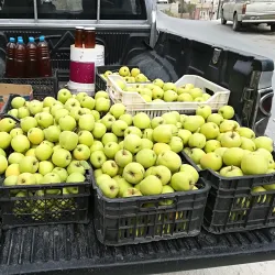 Al-Mazar Mosque - Al-mazar
