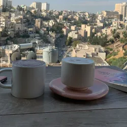 Community Cultural Festivals - Al-mazar