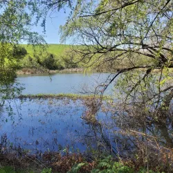 Nearby Hiking Trails - Al-mazar