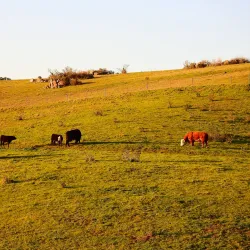 Nearby Hiking Trails - Al-mazar