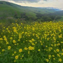 Nearby Hiking Trails - Al-mazar