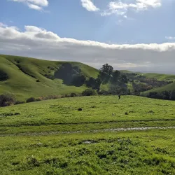 Nearby Hiking Trails - Al-mazar