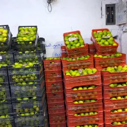 Al Quwaysimah Central Market - Al Quwaysimah