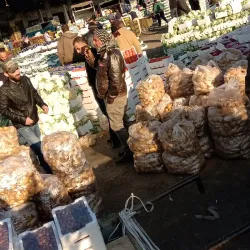 Al Quwaysimah Central Market - Al Quwaysimah