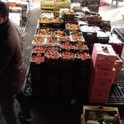 Al Quwaysimah Central Market - Al Quwaysimah