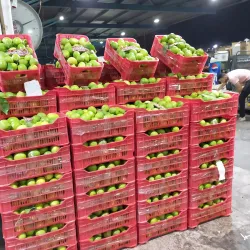 Al Quwaysimah Central Market - Al Quwaysimah